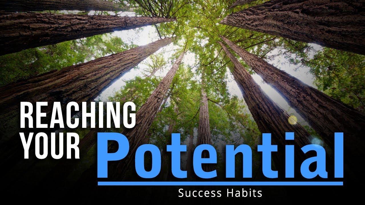 Reaching Your Potential – Success Habits Motivational Video